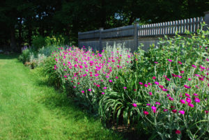 1780 Antique Home Flower border