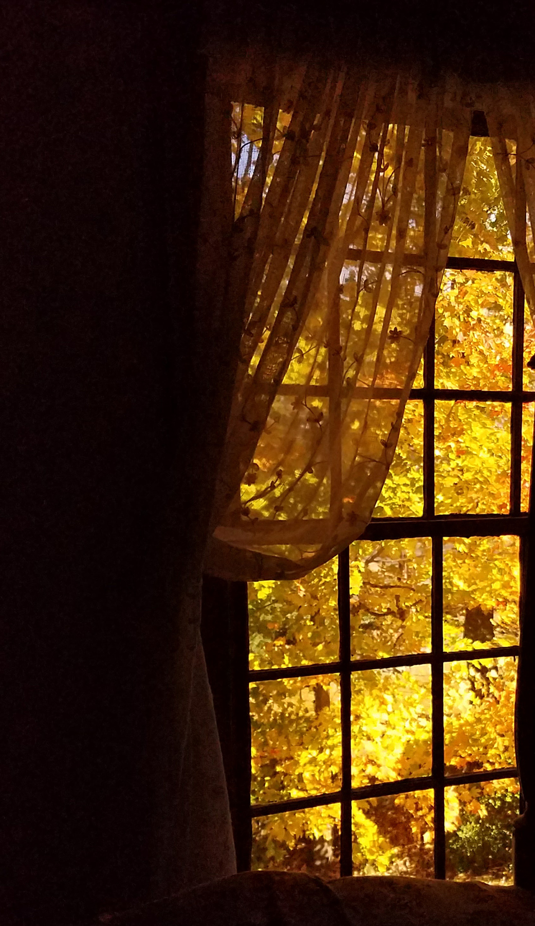 Original windows in an 18th century home.